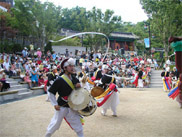 빮ȭ ȹ ǳ 2008