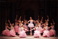ο ߷ Hello Ballet 