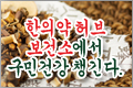 Ǿ  Ǽ, ΰǰ ì.